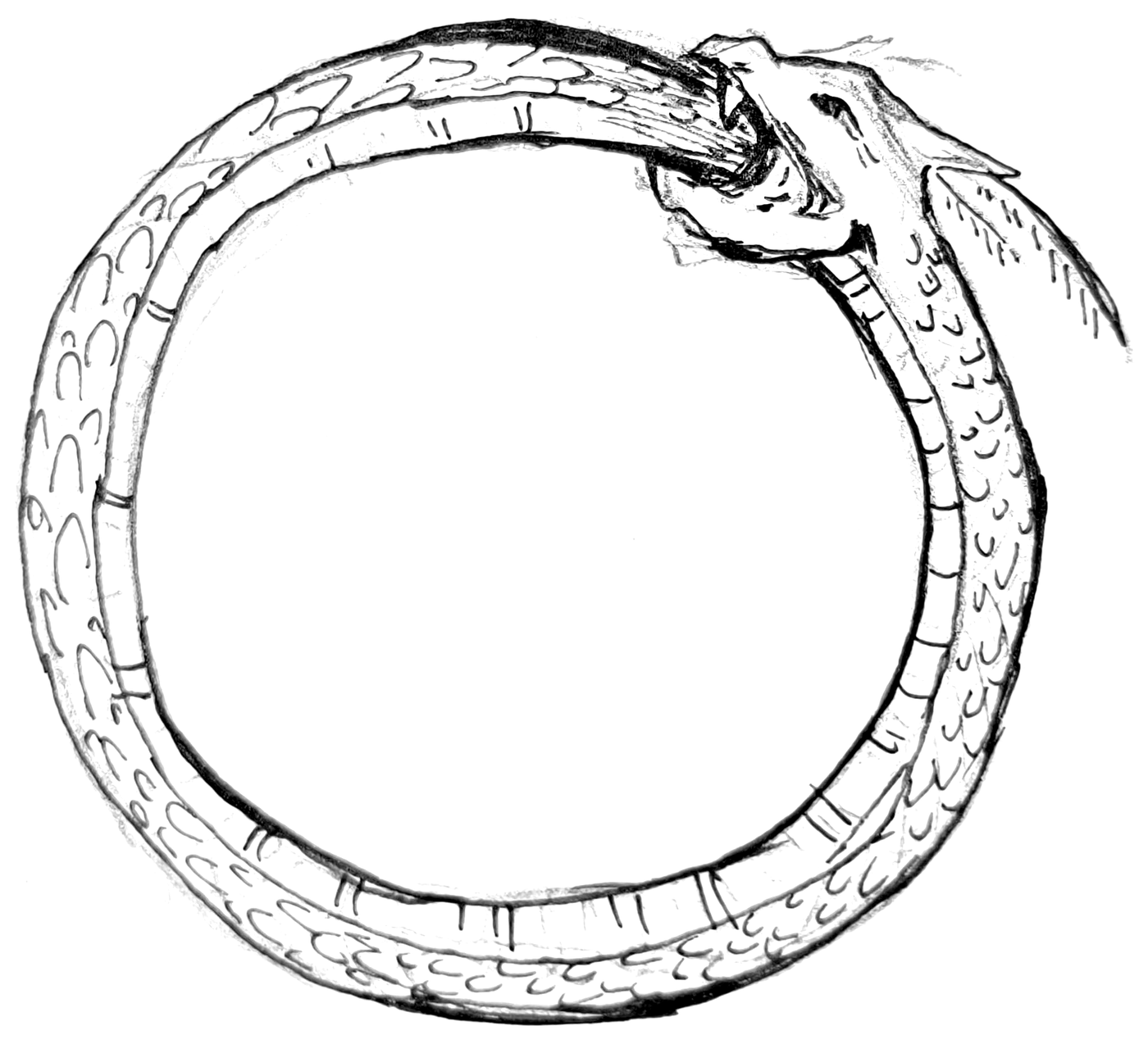 Sketch of an ouroboros, a snake eating its own tail